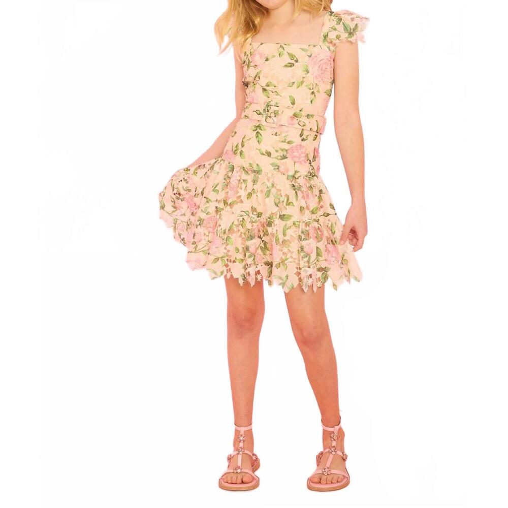 NEW MARLO leonra embroidered mini dress in beige multi